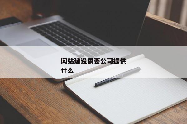 網(wǎng)站建設需要公司提供什么