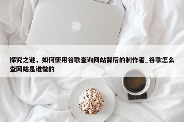 探究之謎，如何使用谷歌查詢網(wǎng)站背后的制作者_谷歌怎么查網(wǎng)站是誰做的