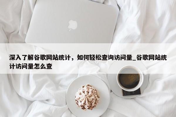 深入了解谷歌網(wǎng)站統(tǒng)計(jì)，如何輕松查詢?cè)L問(wèn)量_谷歌網(wǎng)站統(tǒng)計(jì)訪問(wèn)量怎么查