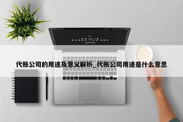 代賬公司的用途及意義解析_代賬公司用途是什么意思