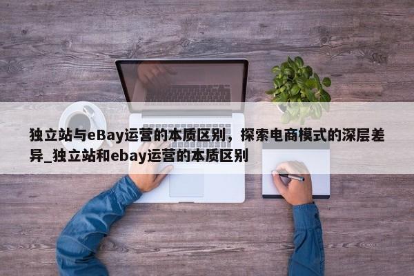 獨(dú)立站與eBay運(yùn)營的本質(zhì)區(qū)別，探索電商模式的深層差異_獨(dú)立站和ebay運(yùn)營的本質(zhì)區(qū)別