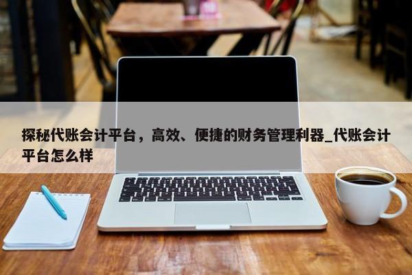 探秘代賬會計平臺，高效、便捷的財務(wù)管理利器_代賬會計平臺怎么樣