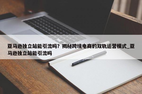 亞馬遜獨立站能引流嗎？揭秘跨境電商的雙軌運營模式_亞馬遜獨立站能引流嗎