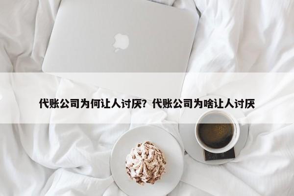 代賬公司為何讓人討厭？代賬公司為啥讓人討厭