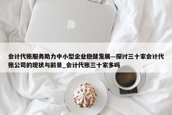 會計代賬服務(wù)助力中小型企業(yè)穩(wěn)健發(fā)展—探討三十家會計代賬公司的現(xiàn)狀與前景_會計代賬三十家多嗎