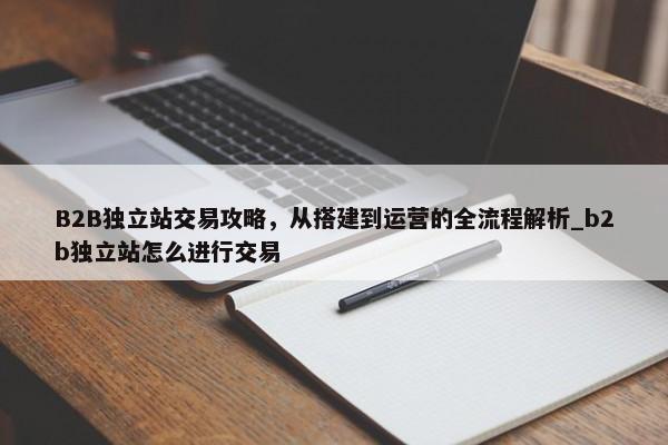 B2B獨立站交易攻略，從搭建到運營的全流程解析_b2b獨立站怎么進行交易