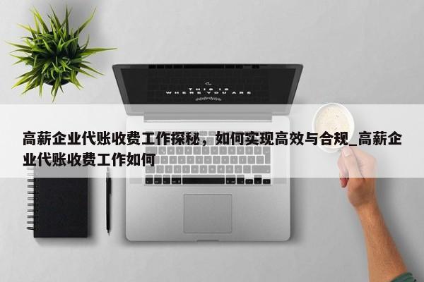 高薪企業(yè)代賬收費工作探秘，如何實現(xiàn)高效與合規(guī)_高薪企業(yè)代賬收費工作如何