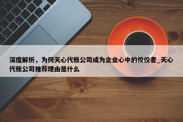 深度解析，為何天心代賬公司成為企業(yè)心中的佼佼者_(dá)天心代賬公司推薦理由是什么