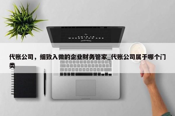 代賬公司，細(xì)致入微的企業(yè)財(cái)務(wù)管家_代賬公司屬于哪個(gè)門類