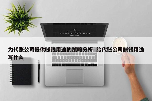 為代賬公司提供賺錢用途的策略分析_給代賬公司賺錢用途寫什么