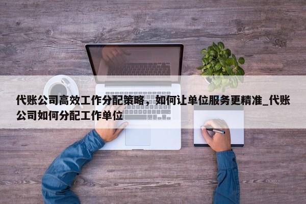 代賬公司高效工作分配策略，如何讓單位服務(wù)更精準(zhǔn)_代賬公司如何分配工作單位