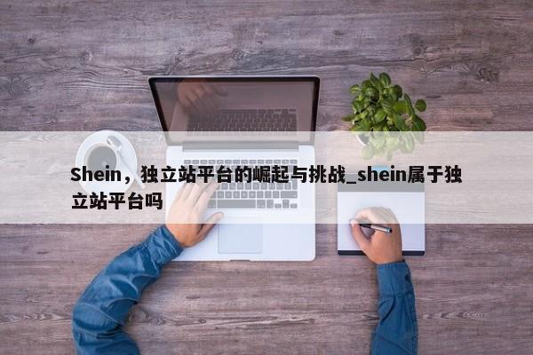 Shein，獨立站平臺的崛起與挑戰(zhàn)_shein屬于獨立站平臺嗎