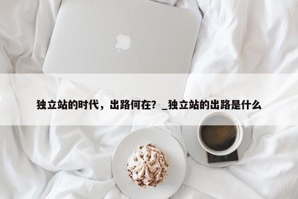 獨(dú)立站的時(shí)代，出路何在？_獨(dú)立站的出路是什么