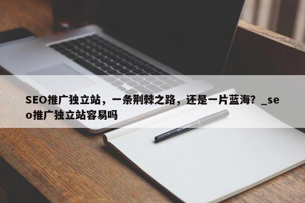 SEO推廣獨立站，一條荊棘之路，還是一片藍海？_seo推廣獨立站容易嗎