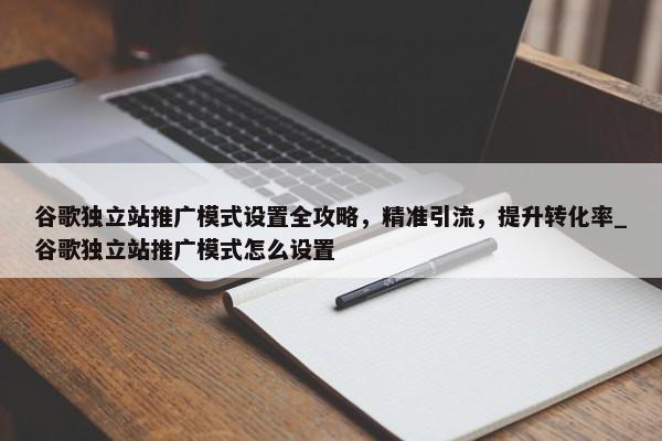 谷歌獨立站推廣模式設(shè)置全攻略，精準(zhǔn)引流，提升轉(zhuǎn)化率_谷歌獨立站推廣模式怎么設(shè)置