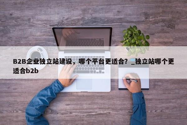 B2B企業(yè)獨立站建設(shè)，哪個平臺更適合？_獨立站哪個更適合b2b