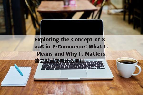 Exploring the Concept of SaaS in E-Commerce: What It Means and Why It Matters_獨立站英文叫什么單詞