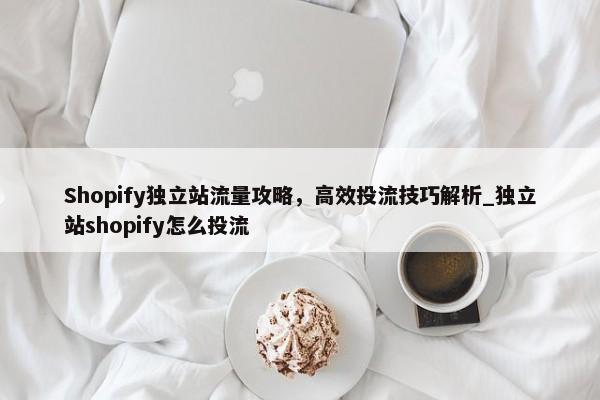 Shopify獨(dú)立站流量攻略，高效投流技巧解析_獨(dú)立站shopify怎么投流