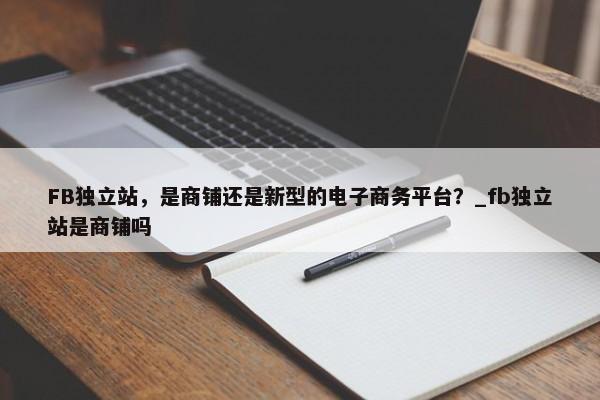 FB獨立站，是商鋪還是新型的電子商務平臺？_fb獨立站是商鋪嗎