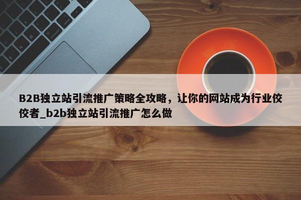 B2B獨立站引流推廣策略全攻略，讓你的網(wǎng)站成為行業(yè)佼佼者_b2b獨立站引流推廣怎么做