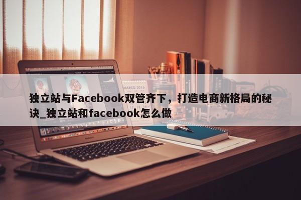 獨立站與Facebook雙管齊下，打造電商新格局的秘訣_獨立站和facebook怎么做