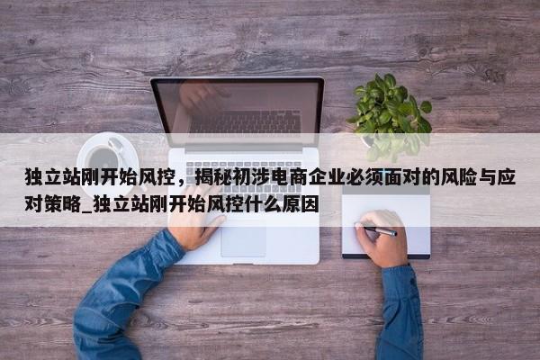 獨立站剛開始風控，揭秘初涉電商企業(yè)必須面對的風險與應對策略_獨立站剛開始風控什么原因