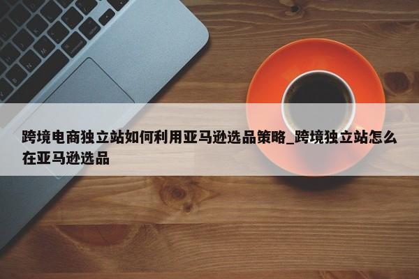 跨境電商獨立站如何利用亞馬遜選品策略_跨境獨立站怎么在亞馬遜選品