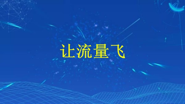 廣州SEO技巧大揭秘：2024年如何成功引流，讓流量飛！