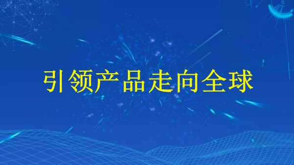 廣州外貿(mào)推廣2024：掌握高效策略，引領產(chǎn)品走向全球