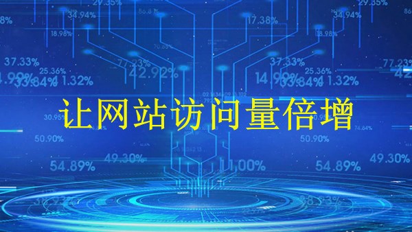 廣州SEO專家揭秘：2024年如何引爆流量，讓網(wǎng)站訪問量倍增！