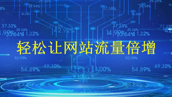 廣州2024年SEO引流：掌握這些技巧，輕松讓網(wǎng)站流量倍增！