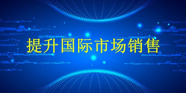 廣州外貿(mào)推廣2024：突破瓶頸，實(shí)現(xiàn)業(yè)績(jī)飆升的終極攻略