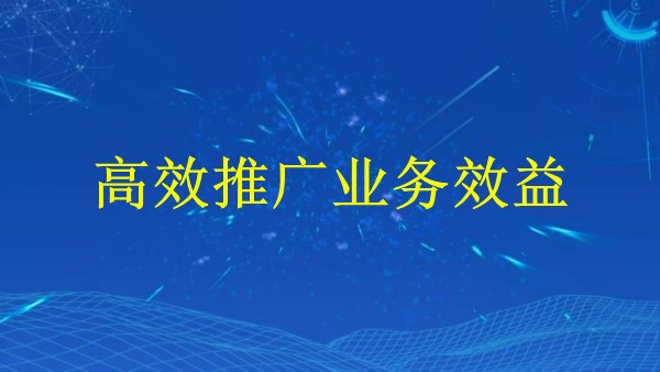 廣州外貿(mào)獨立站建站指南：2024年必備技巧與解答