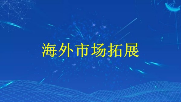 廣州2024年SEO引流秘籍：網(wǎng)站從荒廢到爆滿的終極解答