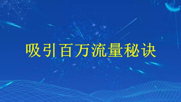 廣州SEO技巧大解密：2024年如何利用高招引流？