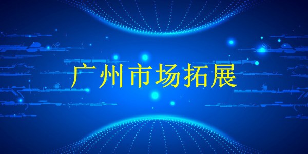 廣州外貿(mào)推廣專家揭秘：2024年如何輕松提高推廣效果？