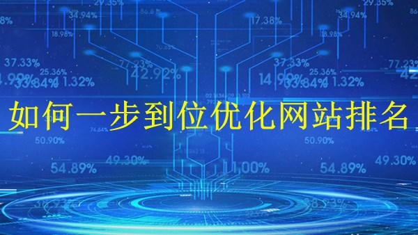 廣州SEO專家大解密：2024年如何一步到位優(yōu)化網站排名？