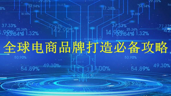 廣州外貿(mào)獨(dú)立站建站-2024年全球電商品牌打造必備攻略