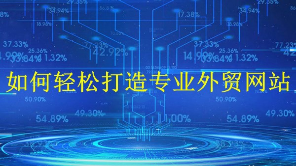 廣州外貿(mào)獨(dú)立站建站-2024年如何輕松打造專業(yè)外貿(mào)網(wǎng)站