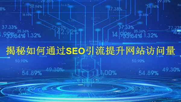 廣州2024：揭秘如何通過SEO引流提升網(wǎng)站訪問量