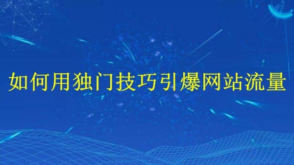 廣州SEO專家揭秘：2024年如何用獨(dú)門技巧引爆網(wǎng)站流量？