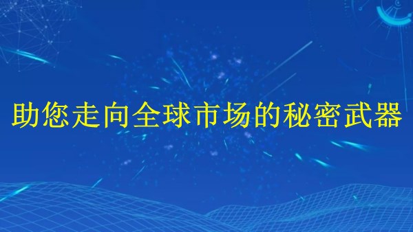 廣州外貿(mào)獨(dú)立站建站：助您2024年走向全球市場(chǎng)的秘密武器