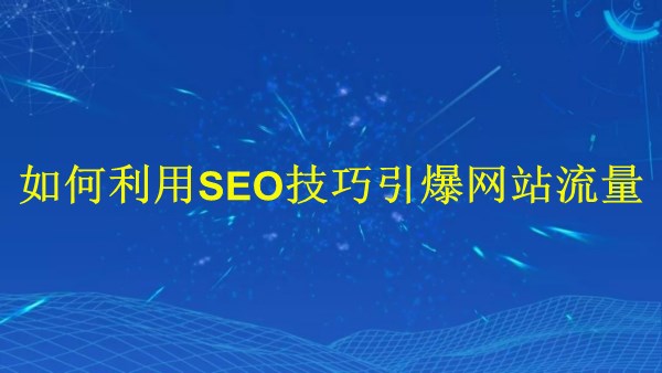 廣州SEO專家揭秘：2024年如何利用SEO技巧引爆網(wǎng)站流量？