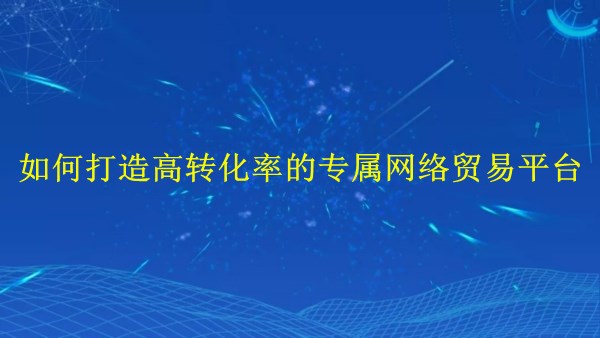 廣州外貿(mào)獨(dú)立站建站：2024年如何打造高轉(zhuǎn)化率的專(zhuān)屬網(wǎng)絡(luò)貿(mào)易平臺(tái)？