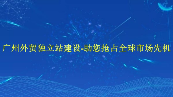 廣州外貿(mào)獨立站建設(shè)-助您2024年搶占全球市場先機